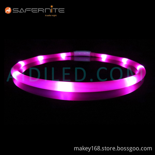 Dog Collars That Light Up Blue At Night